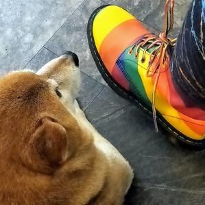 Meet your Posher, Paul